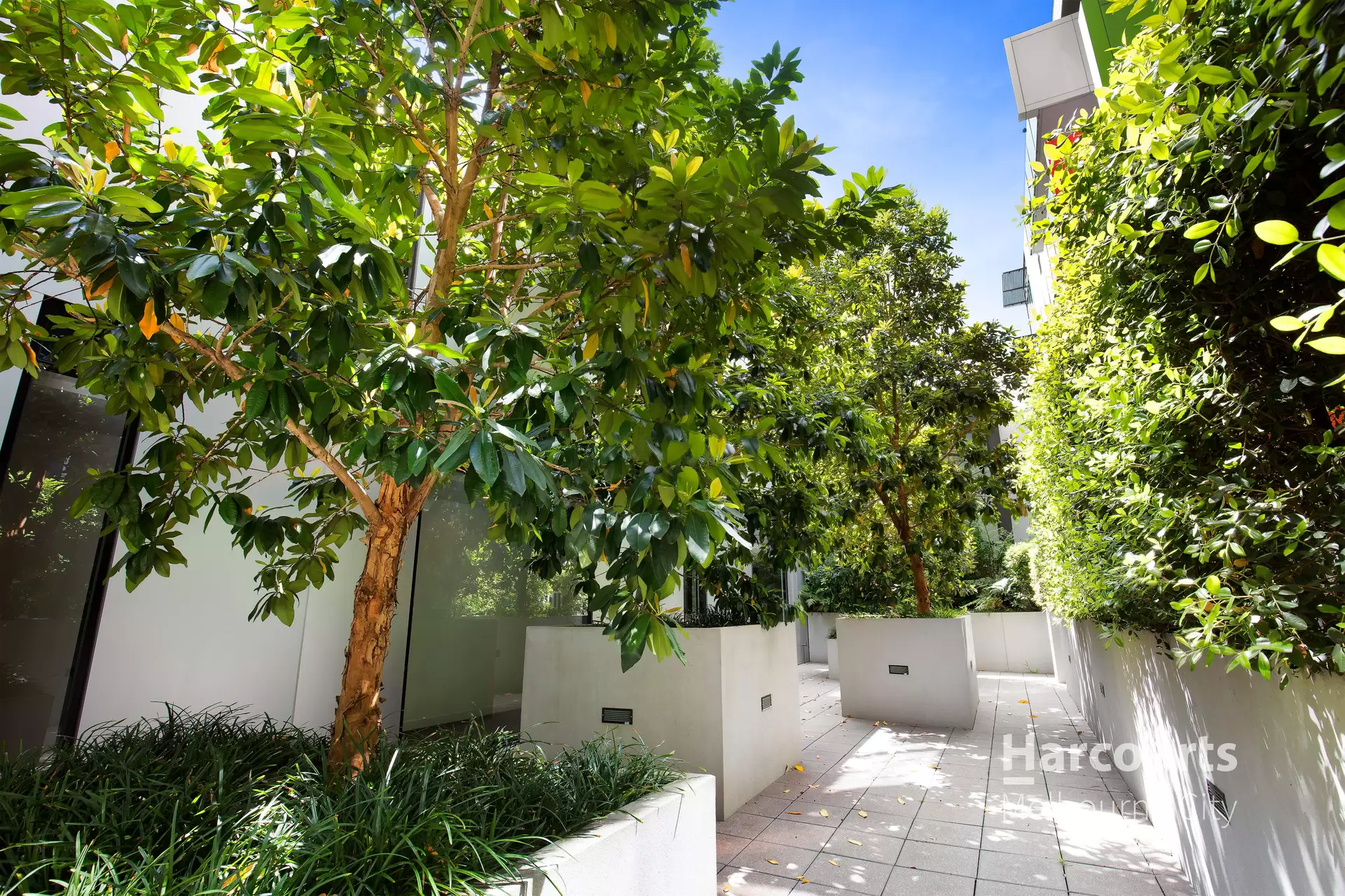 201/81 Riversdale Road, Hawthorn For Lease by Harcourts Melbourne City - image 1